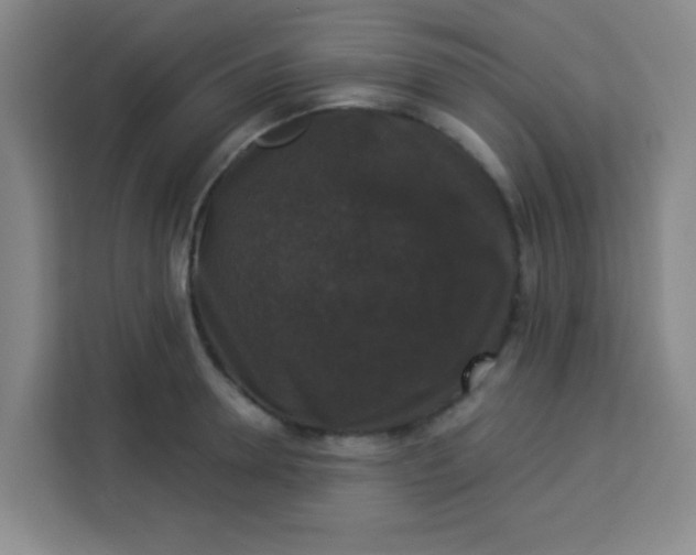 X0000113280946200910051038