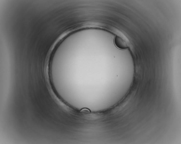 X0000113280947200910051038