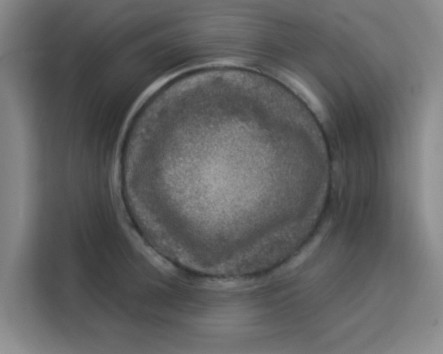 X0000113280948200910051038