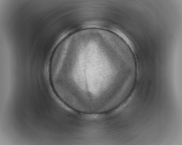 X0000113280949200910051038