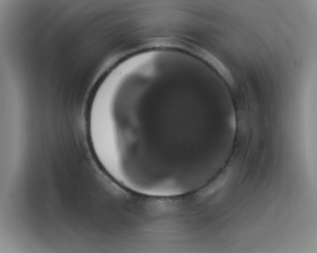 X0000113280950200910051038