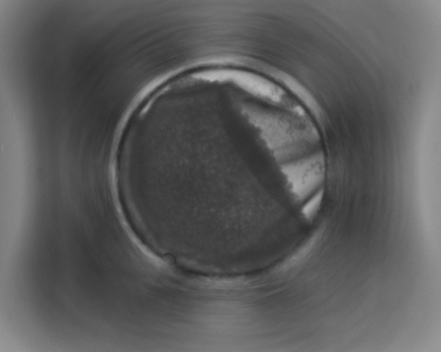 X0000113280951200910051038