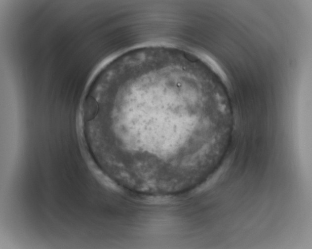 X0000113280952200910051038