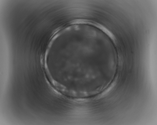 X0000113280953200910051038