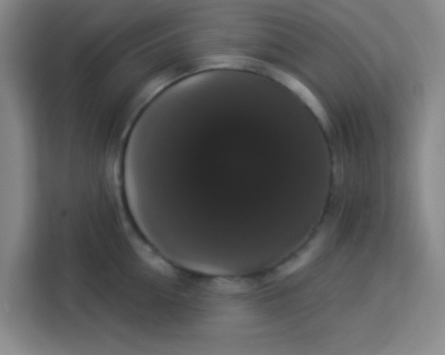 X0000113280954200910051038