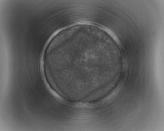 X0000113280955200910051038