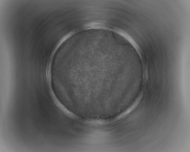 X0000113280957200910051038