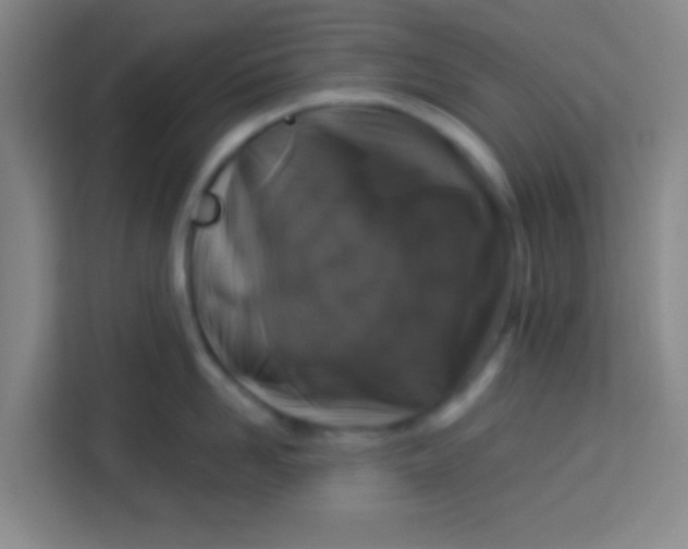 X0000113280958200910051038