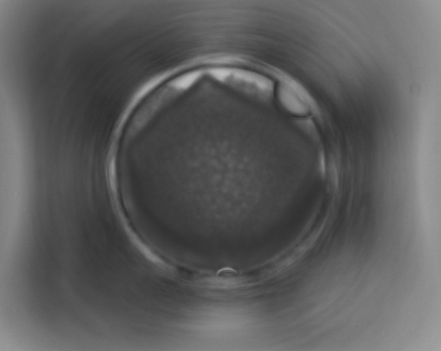 X0000113280959200910051038