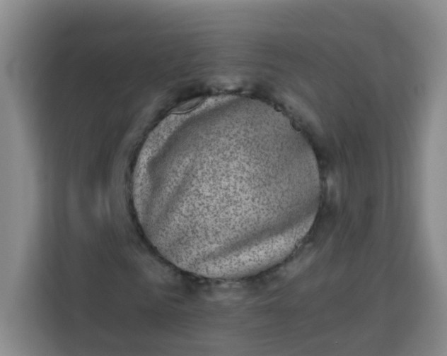 X0000113280961200910051037