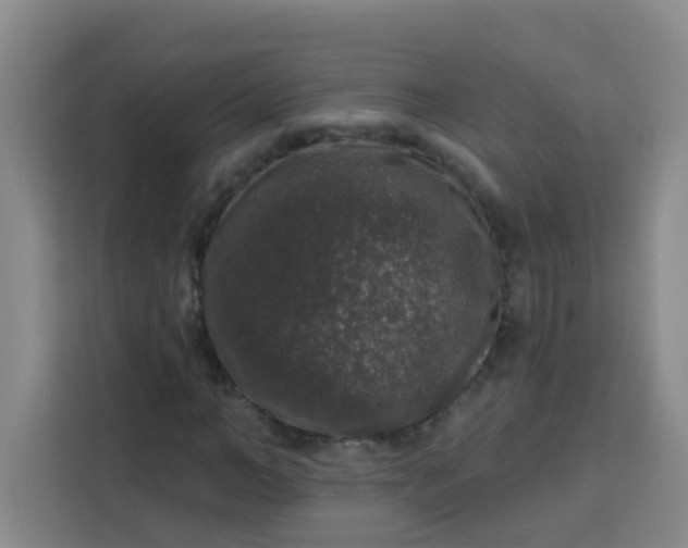 X0000113280966200910051037