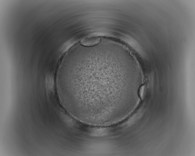 X0000113280969200910051037