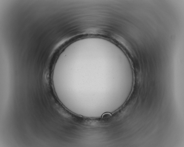 X0000113280971200910051037