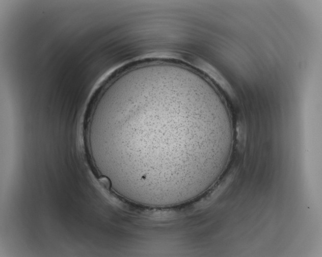 X0000113280972200910051037