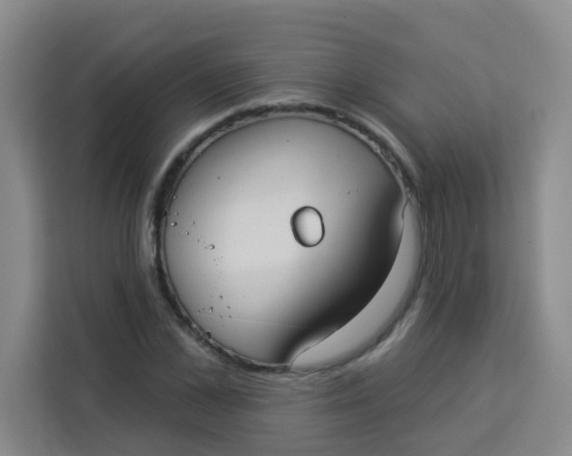 X0000113280973200910051037