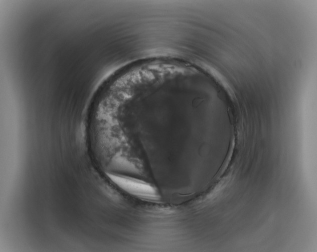 X0000113280975200910051037