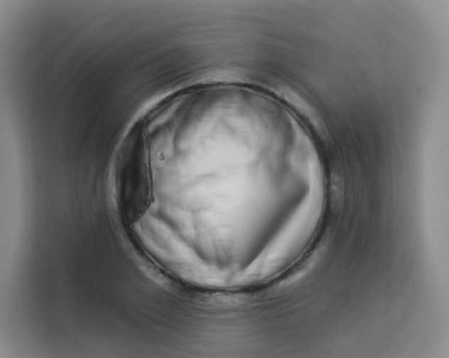 X0000113280981200910051037