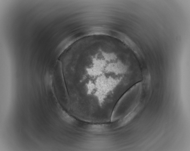 X0000113280985200910051037