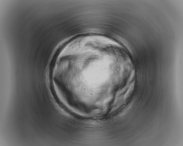 X0000113280987200910051037