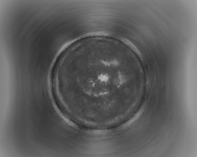 X0000113280989200910051037