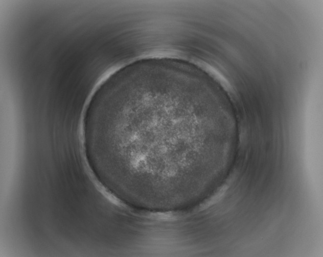 X0000113280990200910051037