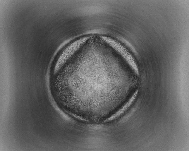 X0000113280991200910051037