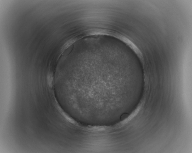 X0000113280993200910051037