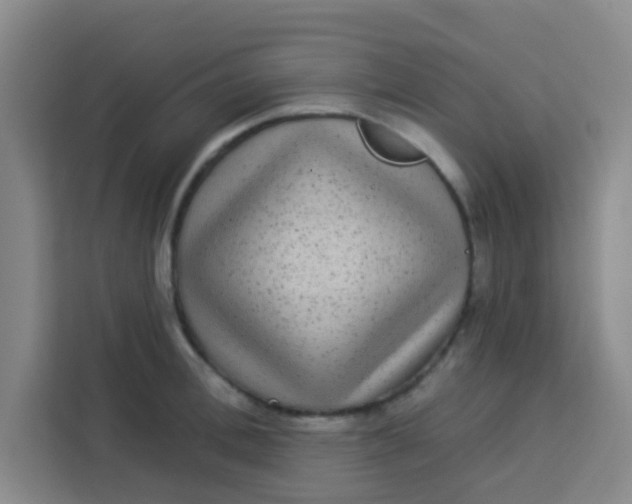 X0000113280996200910051037