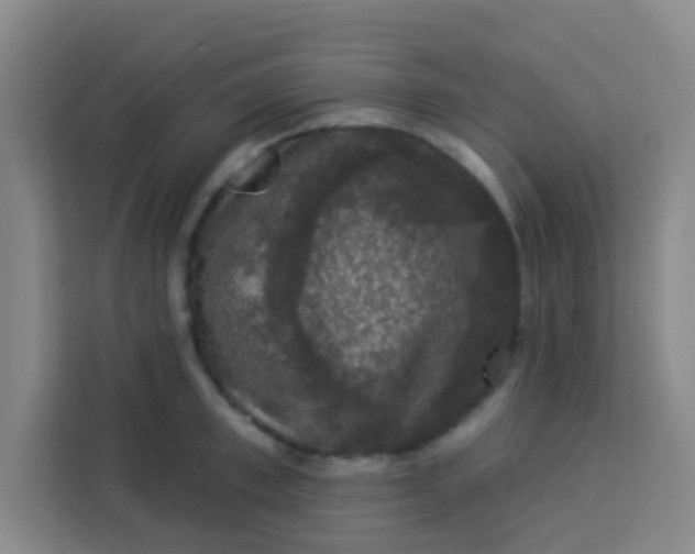 X0000113280997200910051037