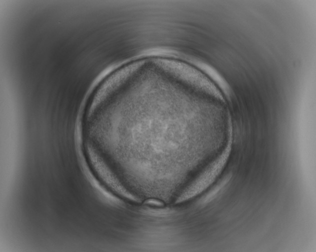 X0000113280999200910051037