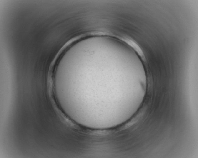 X0000113281000200910051037