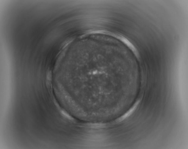 X0000113281001200910051037