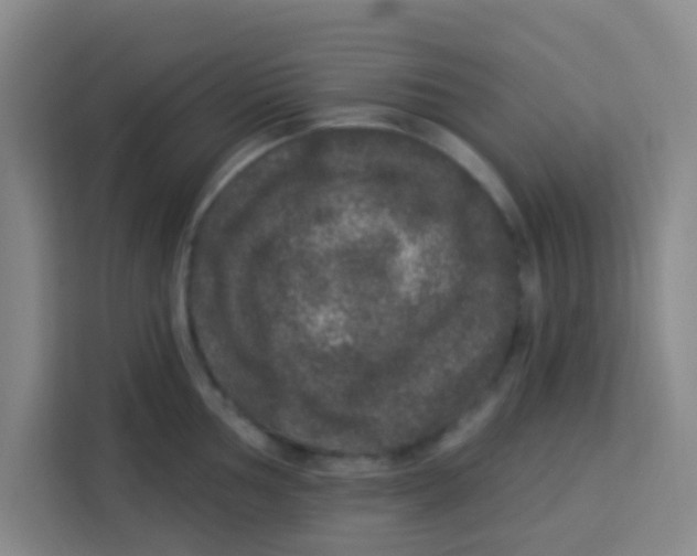 X0000113281002200910051037