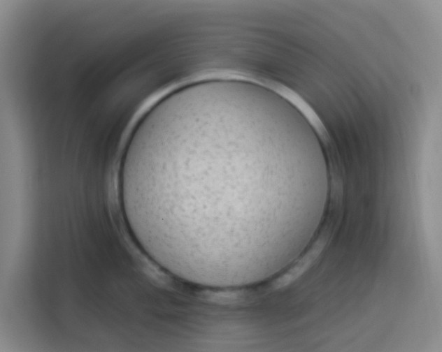 X0000113281004200910051037