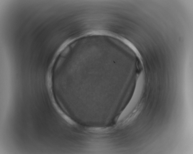 X0000113281005200910051037