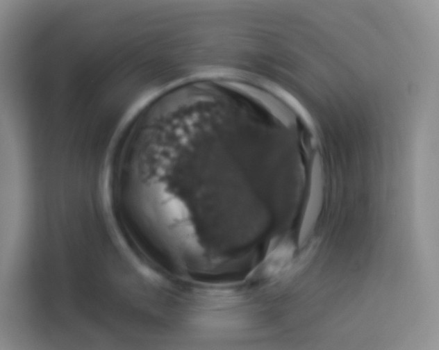 X0000113281007200910051036