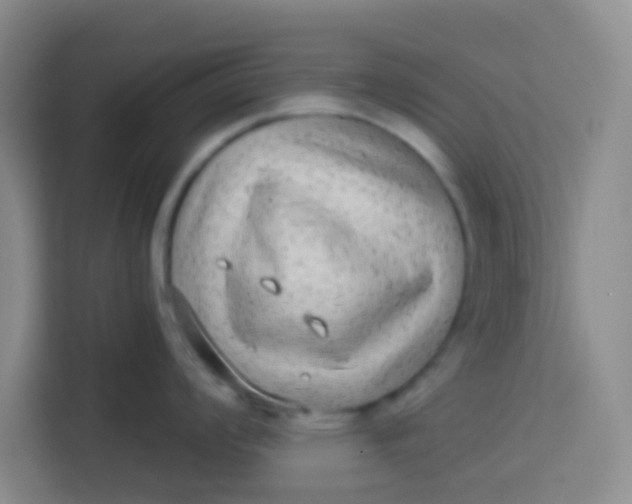 X0000113281008200910051036