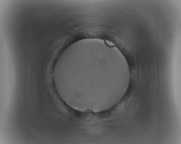 X0000113281009200910051036