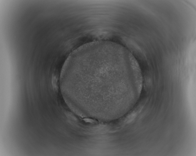 X0000113281010200910051036