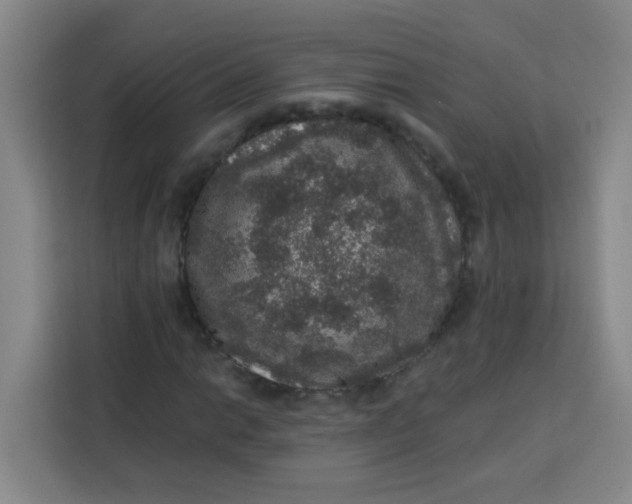 X0000113281014200910051036