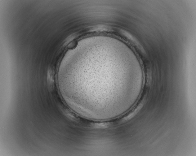 X0000113281017200910051036