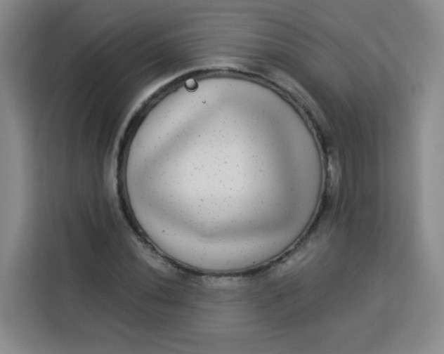 X0000113281020200910051036