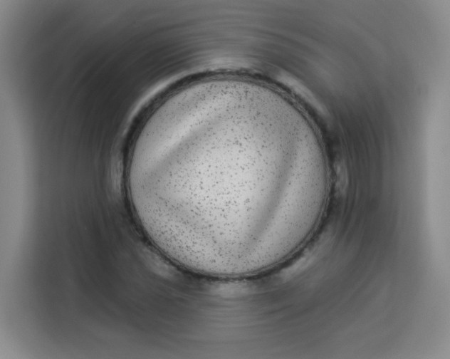 X0000113281021200910051036