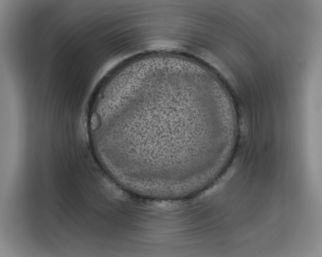 X0000113281022200910051036