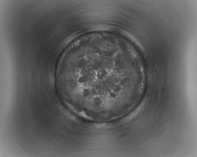 X0000113281025200910051036