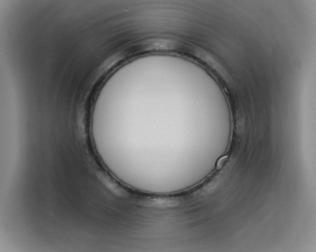 X0000113281026200910051036