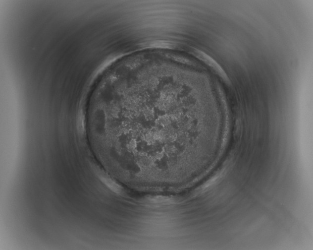 X0000113281027200910051036