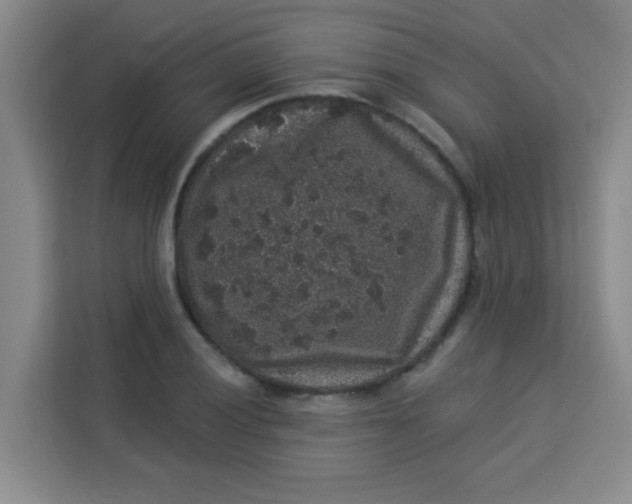 X0000113281028200910051036