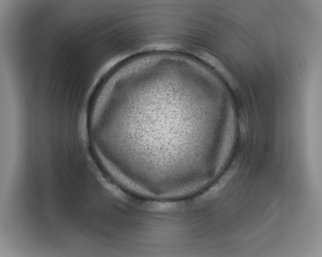 X0000113281030200910051036