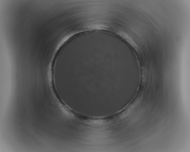 X0000113281031200910051036